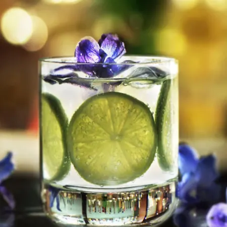 فندق Ponte Sisto روما